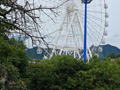 -横店影视城梦幻谷园区