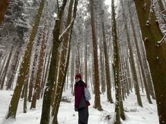 -武陵山森林公园