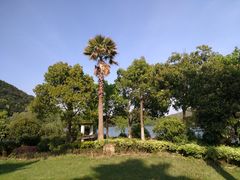 -锦园餐厅(九龙湖开元度假村店)