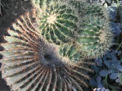 -北京植物园-展览温室