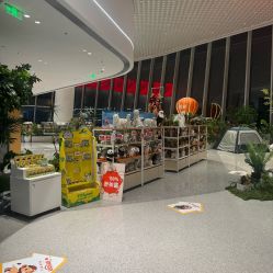 -IMON·HANSA潮玩玩偶毛绒玩具(通州万象汇店)