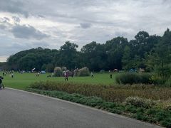 -昆山城市生态森林公园