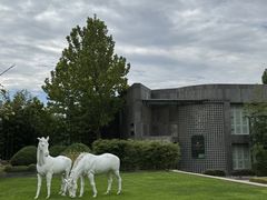 -春晖园度假酒店温泉