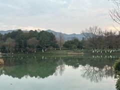 -西溪国家湿地公园