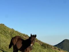 -灵山