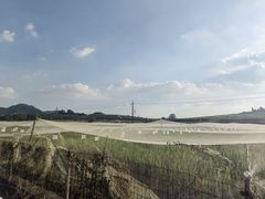 -光明小镇欢乐田园