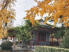 -南通博物苑-崇川人民公园