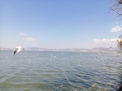 -抚仙湖禄充风景区