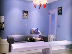 -喵的天空名猫咖啡馆·撸猫·猫舍·用品