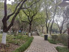 -瀛洲公园