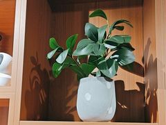 -梵猫·新养生(福州万象城店)