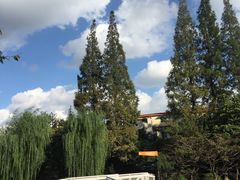-兰溪青年公园
