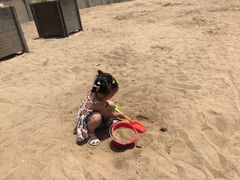 -奉贤海滩