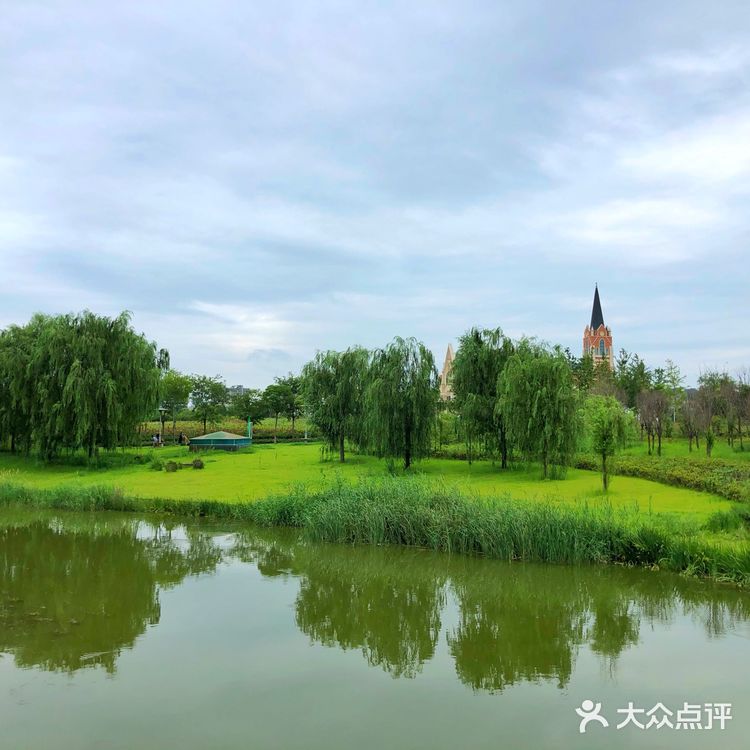 醉美聊城—九州洼月季公园