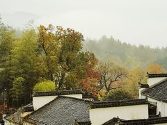 -塔川景区