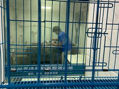 -萌兽医馆·宠物医院·猫骨科(创景店)