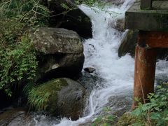 -大围山国家森林公园
