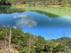 -广州白江湖森林公园