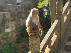 -黔灵山公园