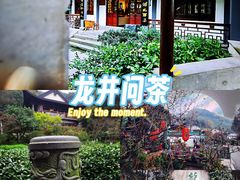 -龙井壹号·茶缘山景宴(龙井村店)