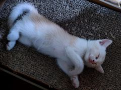 -行人小筑·茶馆(岑村火炉山分店)