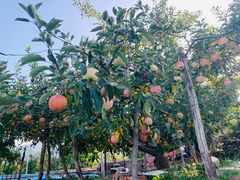 -鹫峰国家森林公园