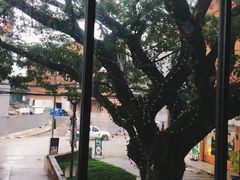 -宁曼路