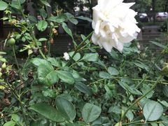 -陕西师范大学(雁塔校区)