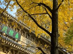 -灵谷景区
