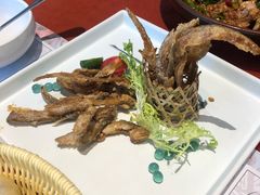 -赵小姐丨新中餐(曲江店)