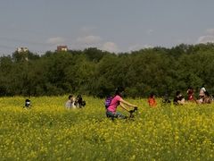 -长白岛森林公园