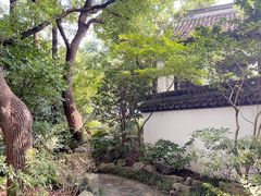 -上海醉白池公园