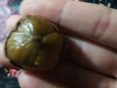 -小宝栗子(嘉华国际商业中心店)