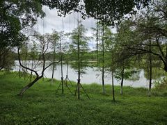 -番禺大夫山森林公园