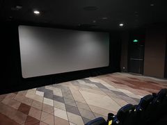 -SFC上影百联影城(八佰伴IMAX店)