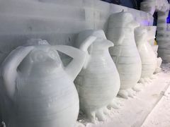 -杭州少年儿童公园