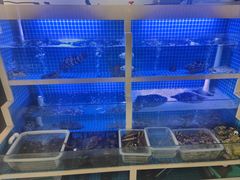 -威海渔村(静安旗舰店)