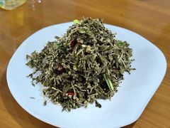 龙柏芽-陈炉印象