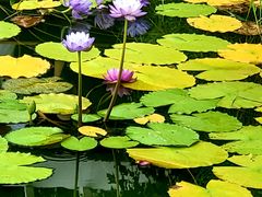 -国家植物园南园