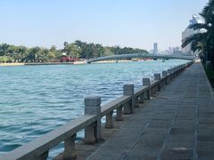 吊桥和白鹭-白鹭洲公园