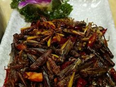 android_upload_pic-山珍王国·云南野生菌石锅鱼