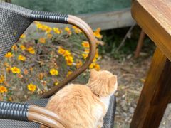 -田德能咖啡博物馆