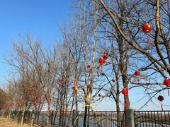 -大运河源头遗址公园