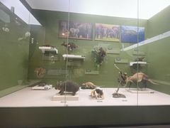 -国家自然博物馆