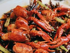 -红盔甲·小龙虾(天钥桥店)