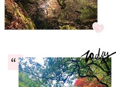 -罗田薄刀峰风景区