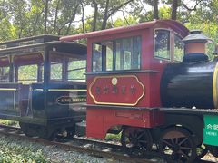 -合肥滨湖国家森林公园