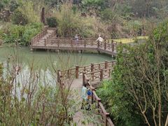 -桤木河湿地公园