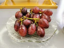 -吉米护肤造型