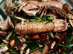 -金龙·打边炉(南京西路店)